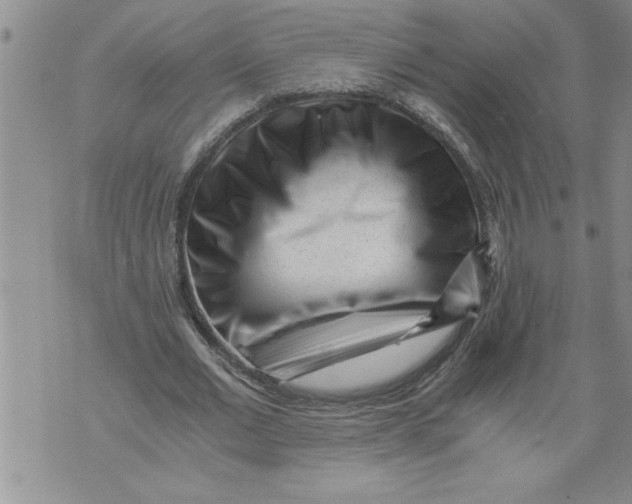 X0000076090677200610152319