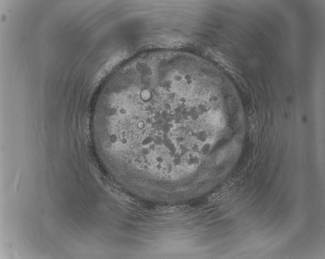 X0000076090679200610152319