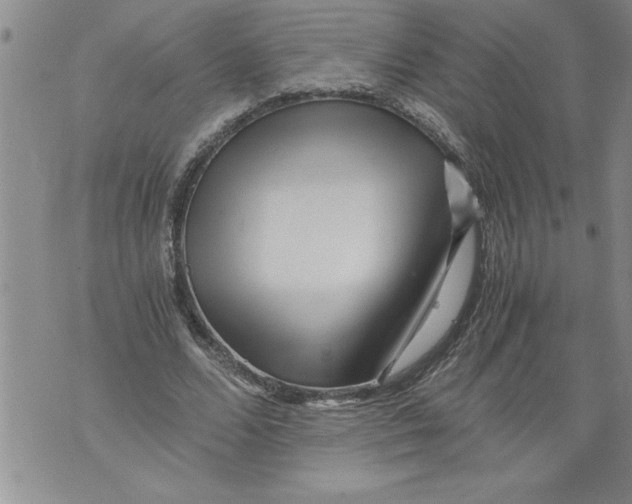 X0000076090680200610152319