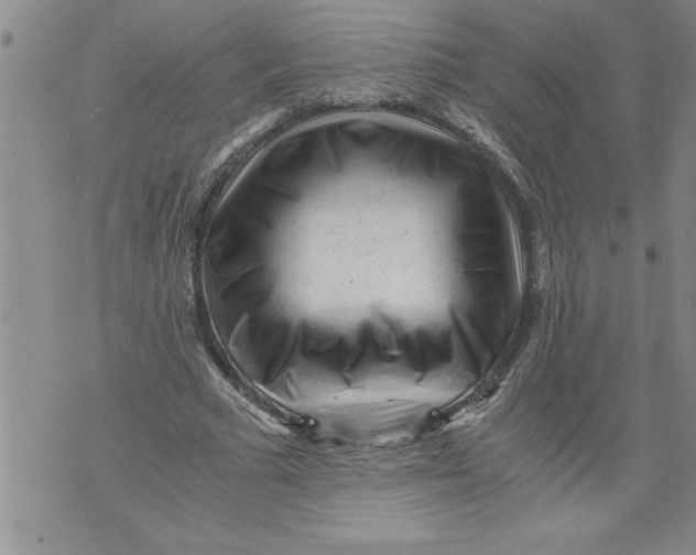 X0000076090681200610152319