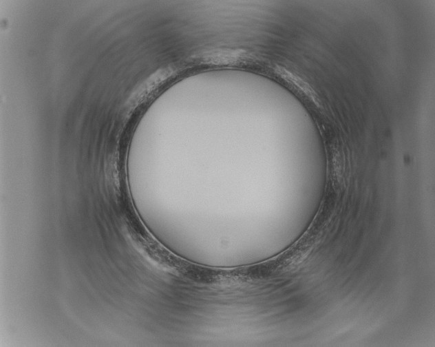 X0000076090682200610152319