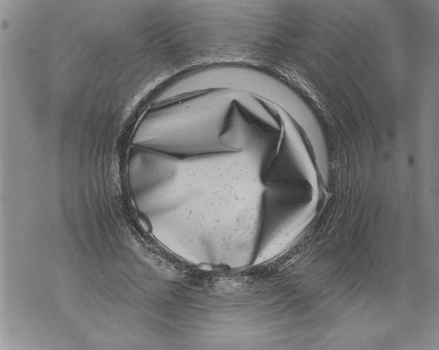 X0000076090684200610152319