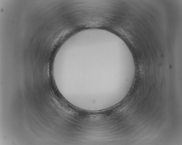 X0000076090686200610152319