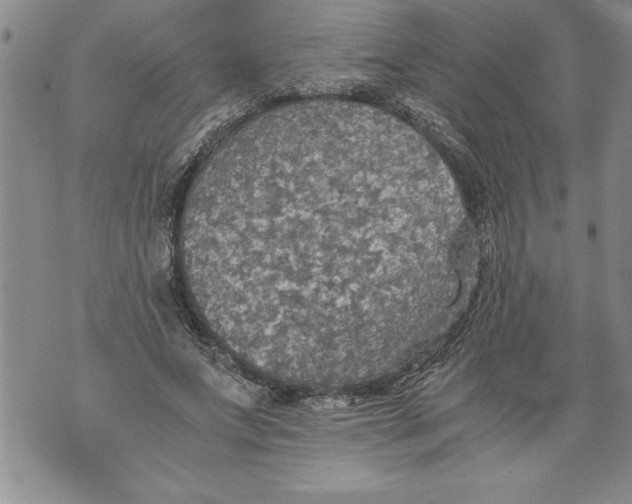 X0000076090687200610152319