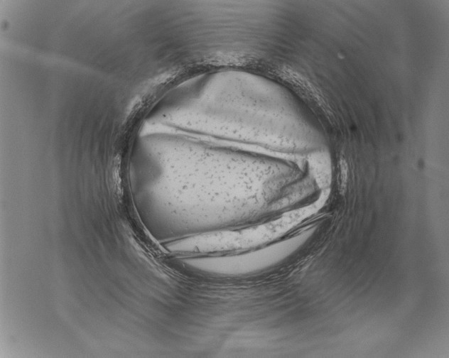 X0000076090688200610152319