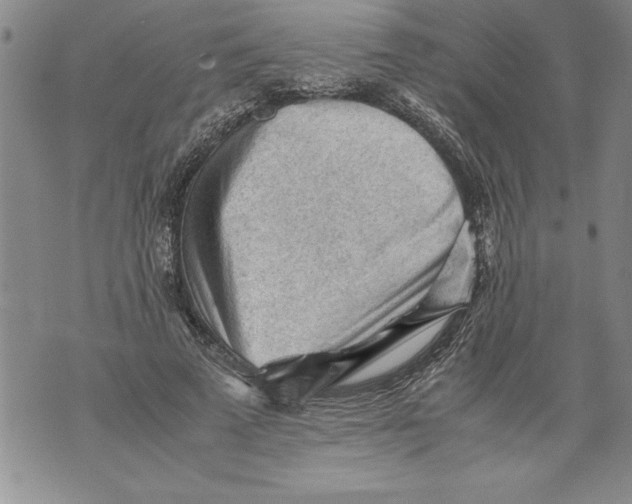 X0000076090689200610152319