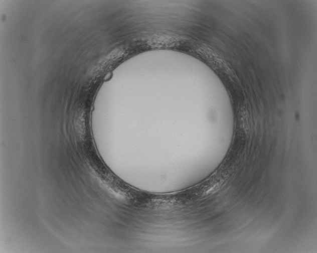 X0000076090690200610152319