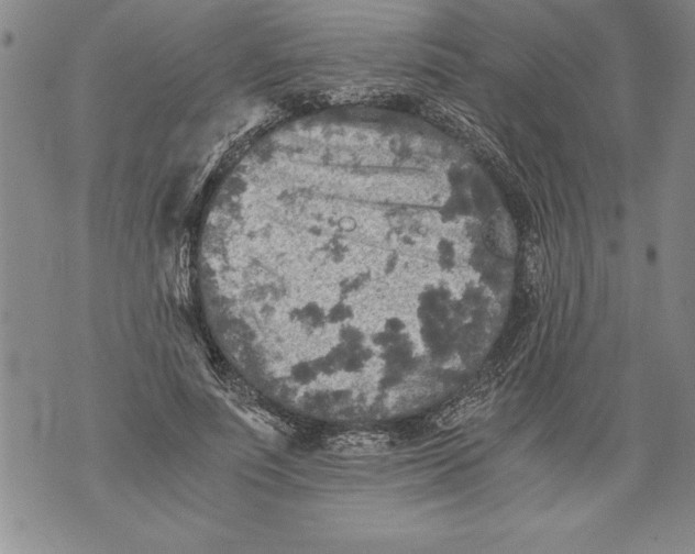 X0000076090691200610152319