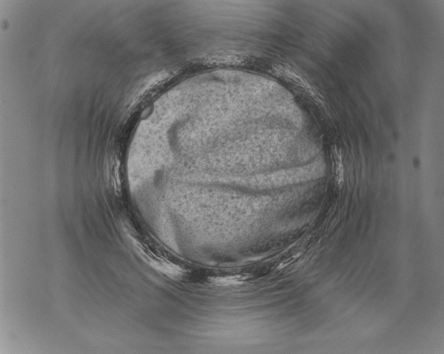 X0000076090692200610152319