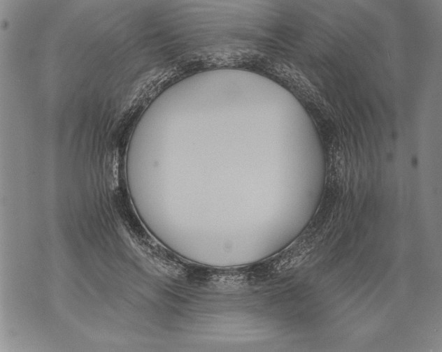 X0000076090694200610152319