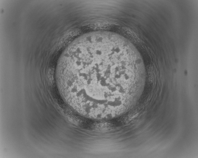 X0000076090695200610152319