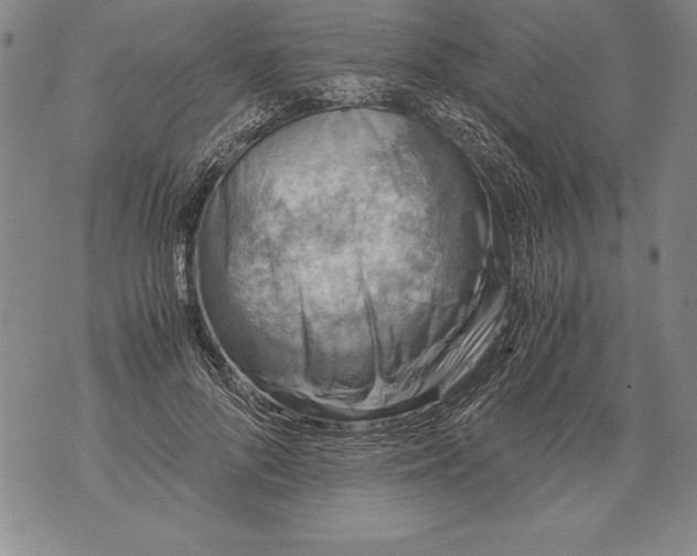 X0000076090696200610152319