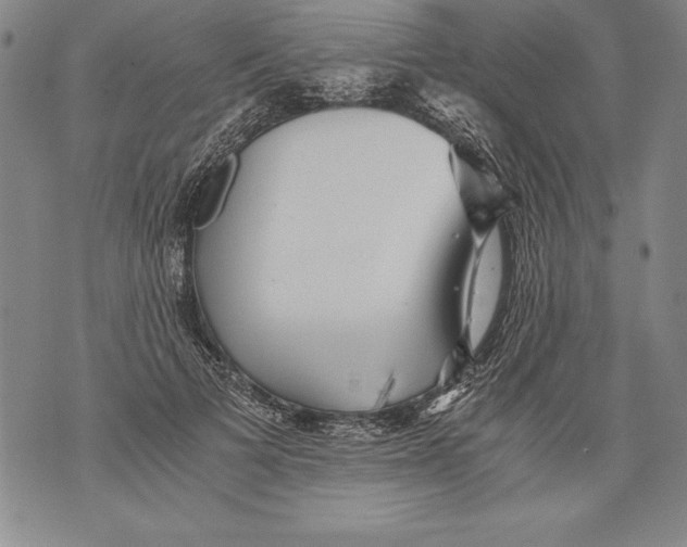 X0000076090697200610152319