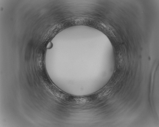 X0000076090698200610152319