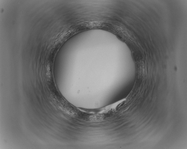 X0000076090700200610152319