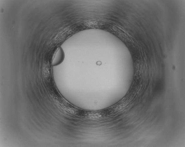 X0000076090702200610152319