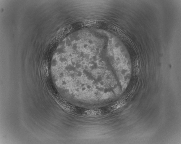 X0000076090703200610152318