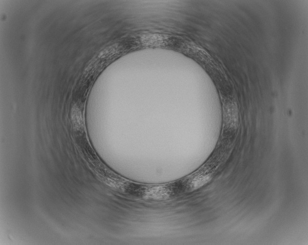 X0000076090705200610152318