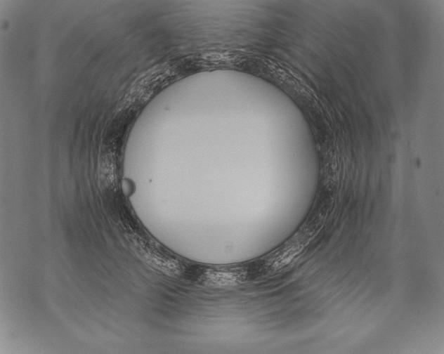 X0000076090706200610152318