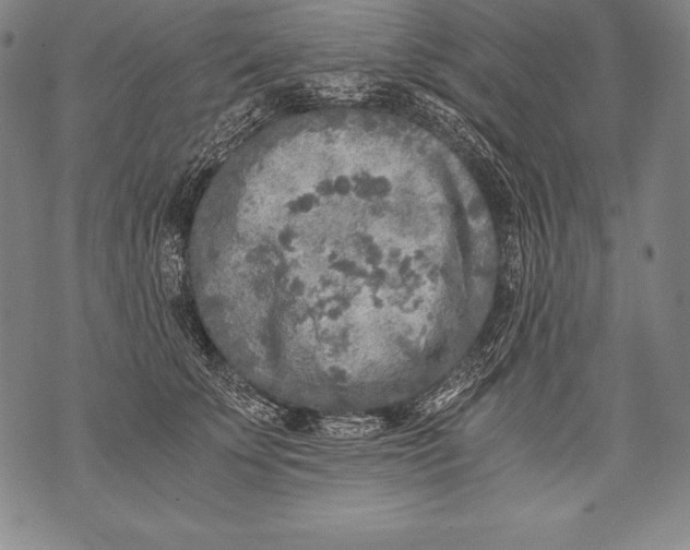 X0000076090707200610152318