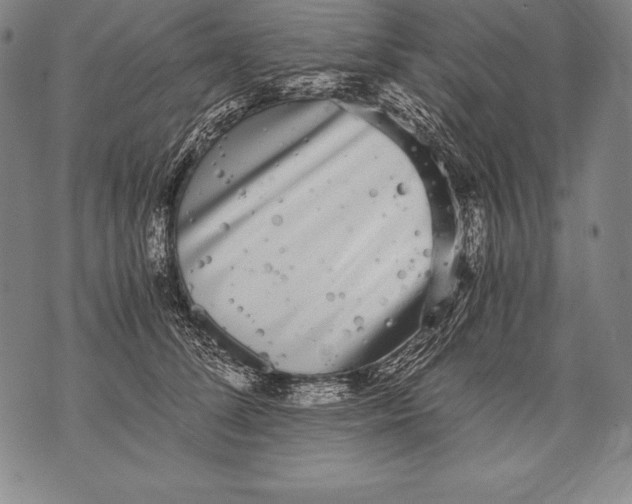 X0000076090708200610152318