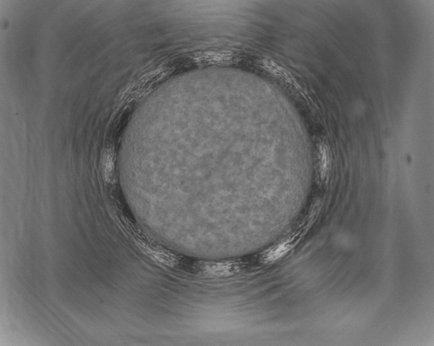 X0000076090709200610152318