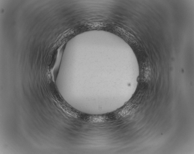 X0000076090710200610152318