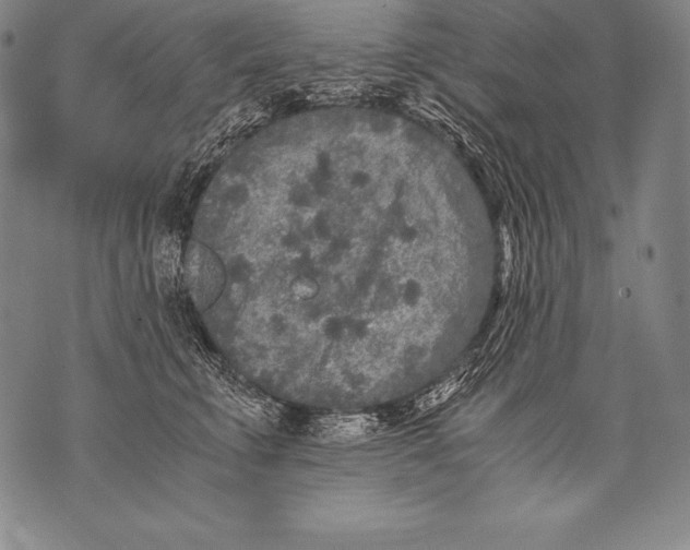 X0000076090711200610152318