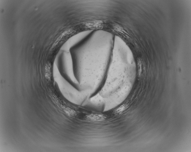 X0000076090712200610152318