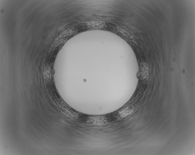 X0000076090713200610152318