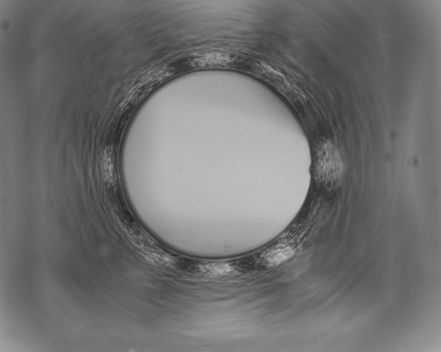 X0000076090715200610152318