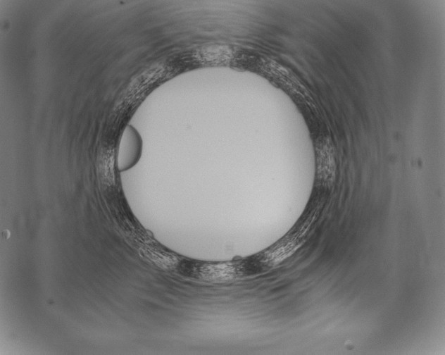 X0000076090717200610152318