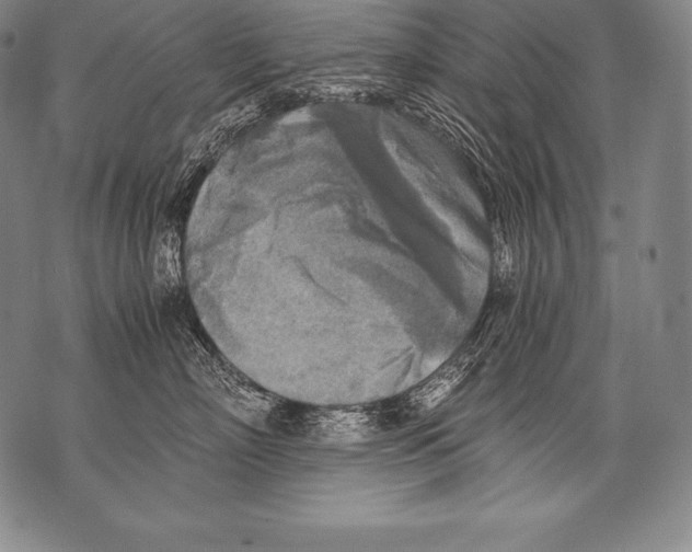 X0000076090718200610152318