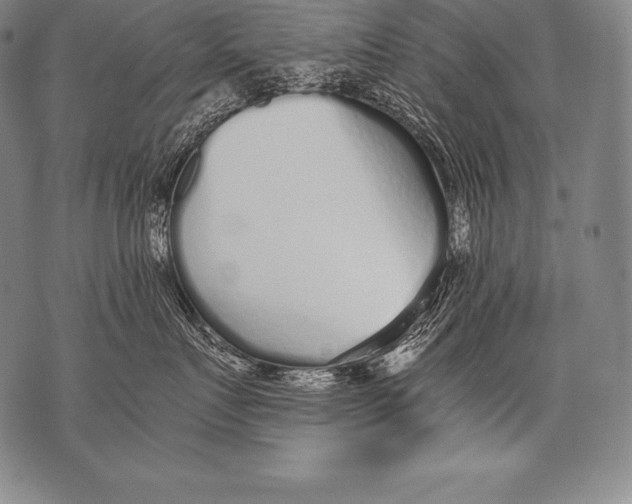 X0000076090719200610152318