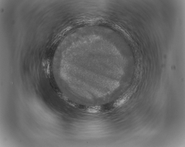 X0000076090720200610152318