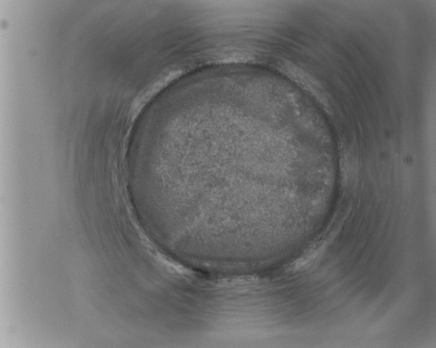 X0000076090721200610152317