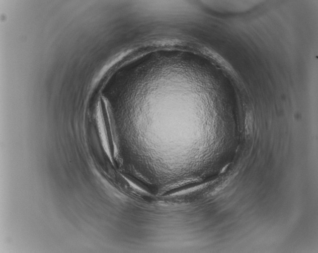 X0000076090722200610152317