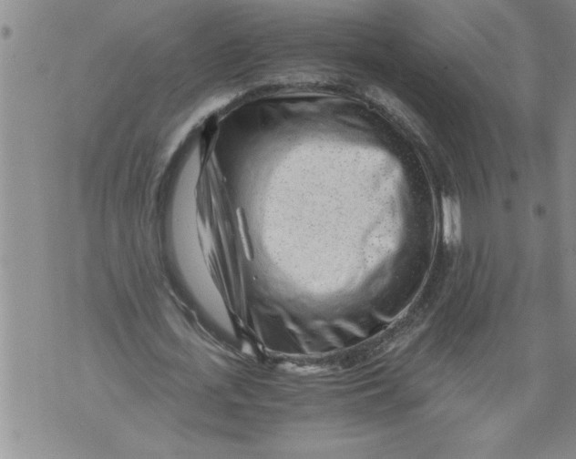 X0000076090723200610152317