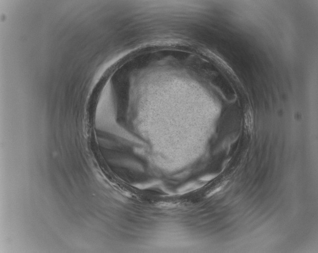 X0000076090724200610152317