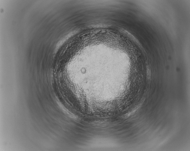 X0000076090725200610152318