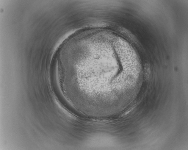 X0000076090726200610152318