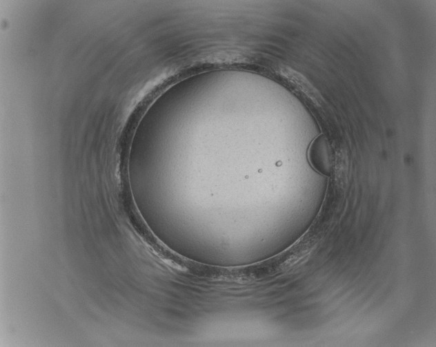 X0000076090727200610152318