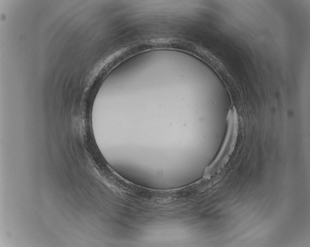 X0000076090728200610152318