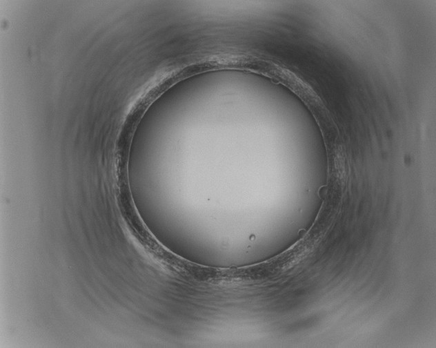 X0000076090730200610152318