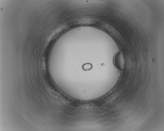 X0000076090731200610152318