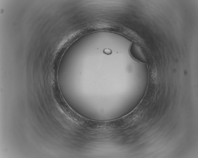 X0000076090732200610152318