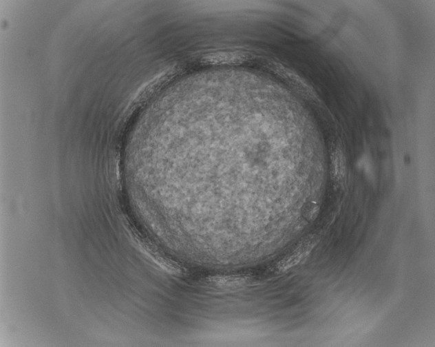 X0000076090733200610152318