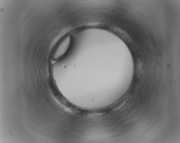 X0000076090734200610152318