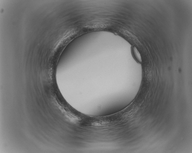 X0000076090735200610152318