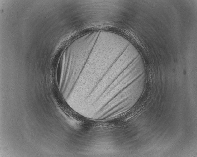 X0000076090736200610152318